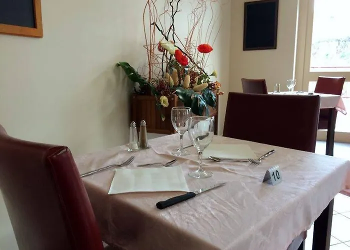 Du Marronnier Belmont-sur-Rance